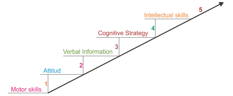 graph2 768x317 1